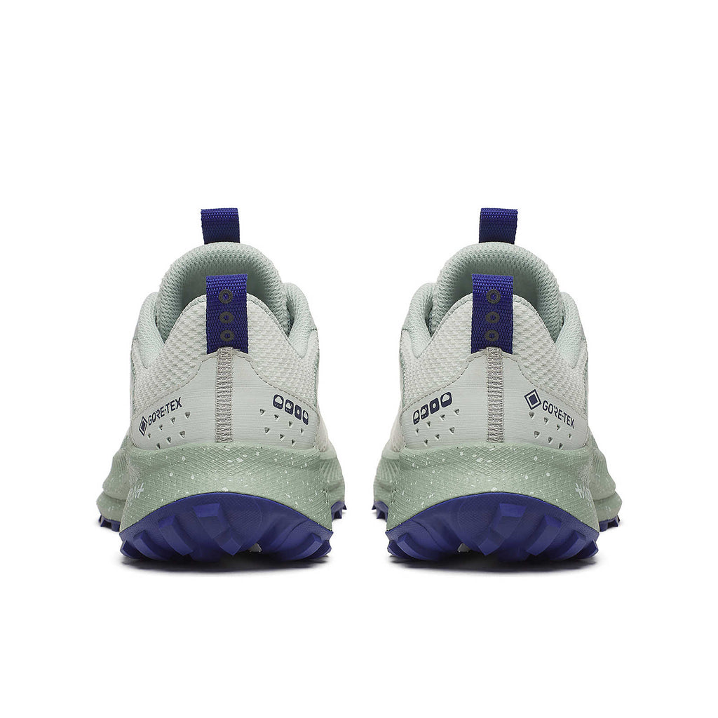 Saucony Women's Ride TR2 GTX